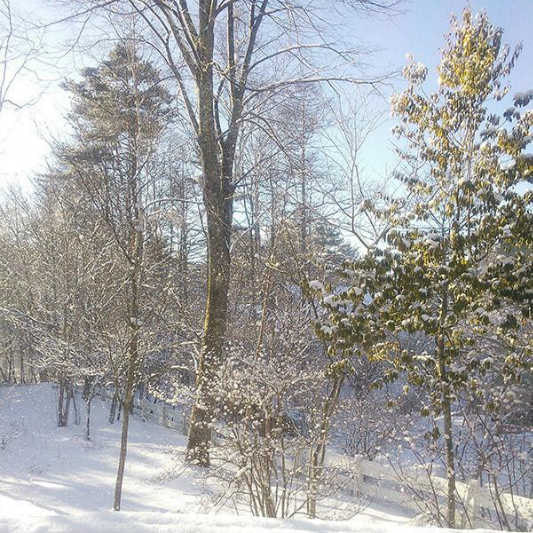 ら・べるでゅーら 冬景色