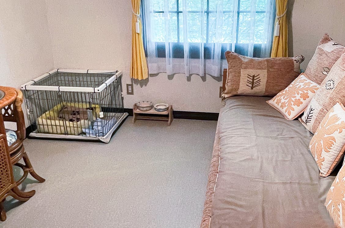 ら・べるでゅーら ゲストルーム パタタ